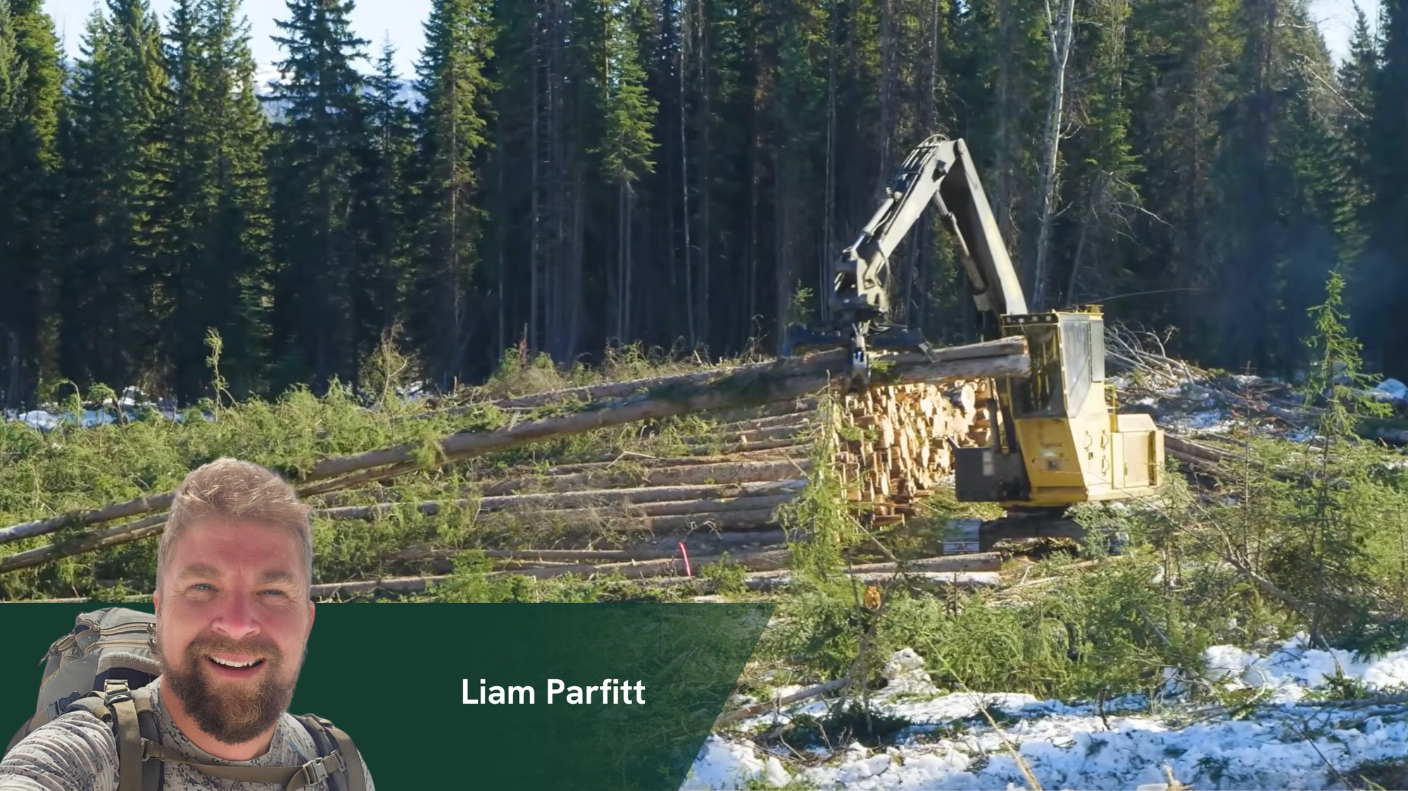 PARFITT: Don't listen to the doomers —  BC is awash in timber