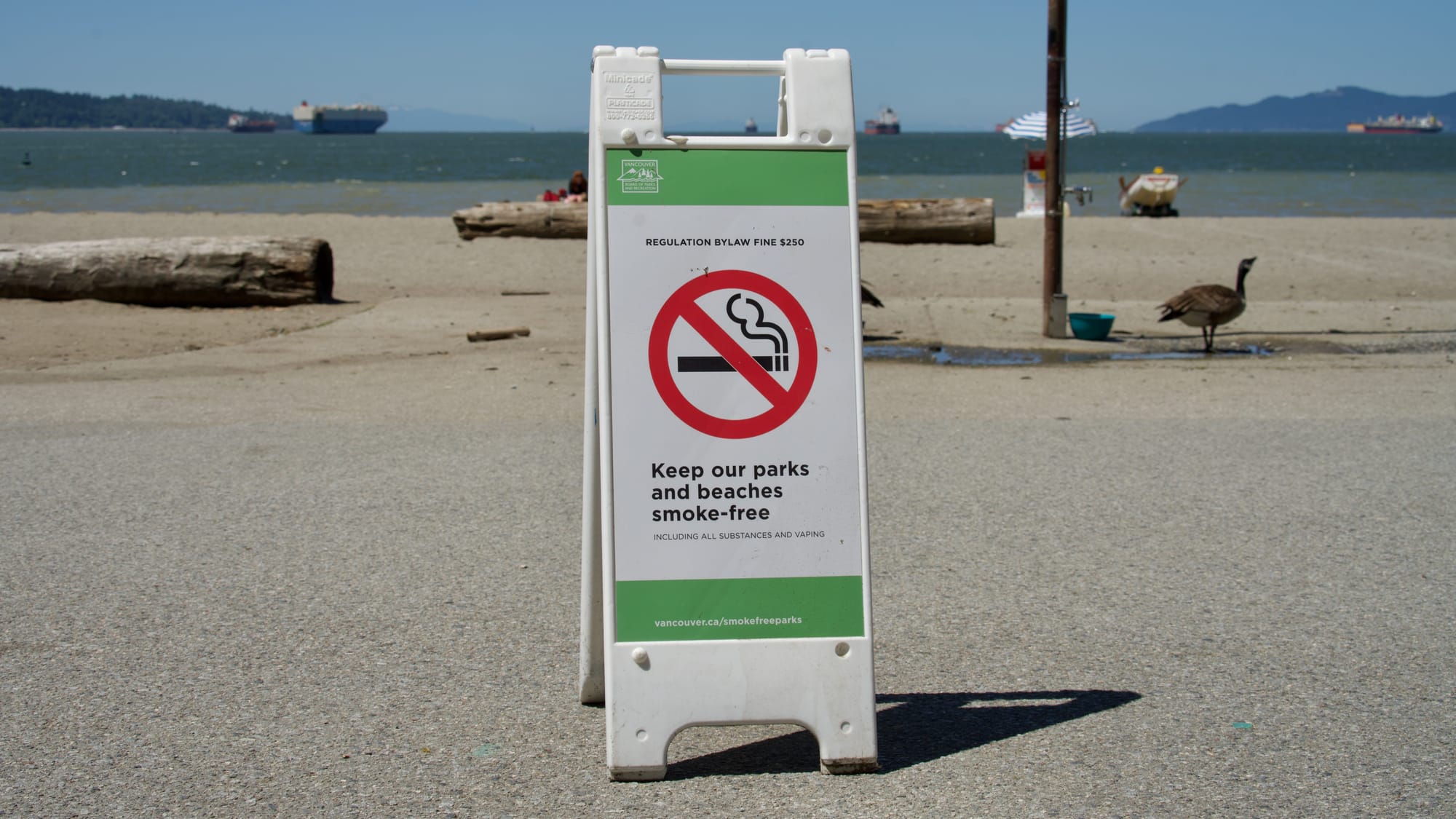 Vancouver Park Board approves pilot for 'designated smoking areas' at select summer events