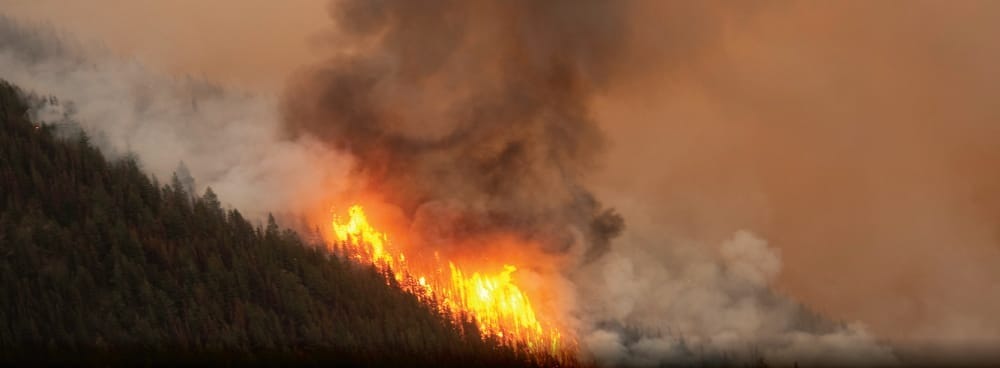 BC wildfires: 51 evacuation orders, 20,000 evacuees
