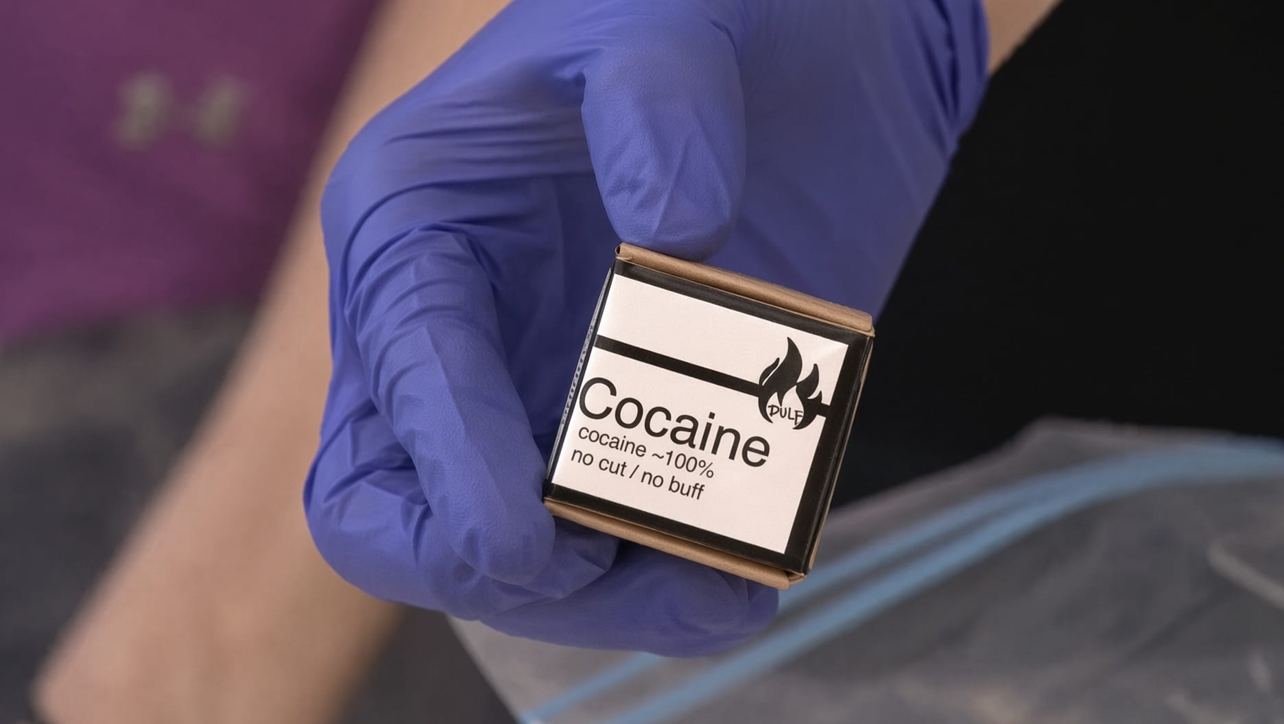 BC Supreme court stays DULF founders' drug trafficking convictions following constitutional challenge