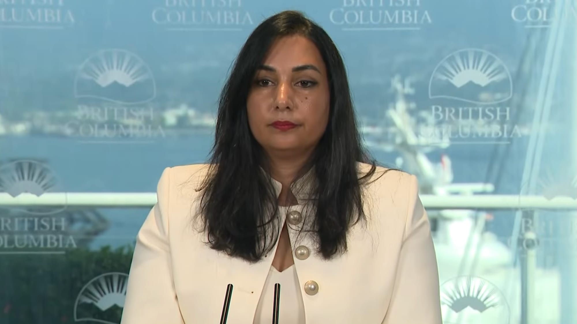 BC government suing OpenAI over Tumbler Ridge mass shooting