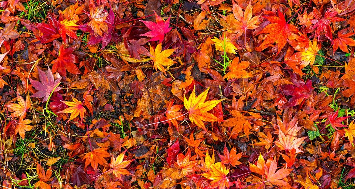 The New Year starts here. Post image