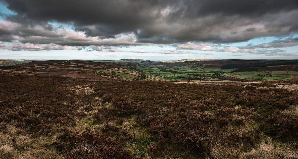 Multi-content-dominating-cultural brand Post image