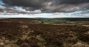 Multi-content-dominating-cultural brand Post feature image