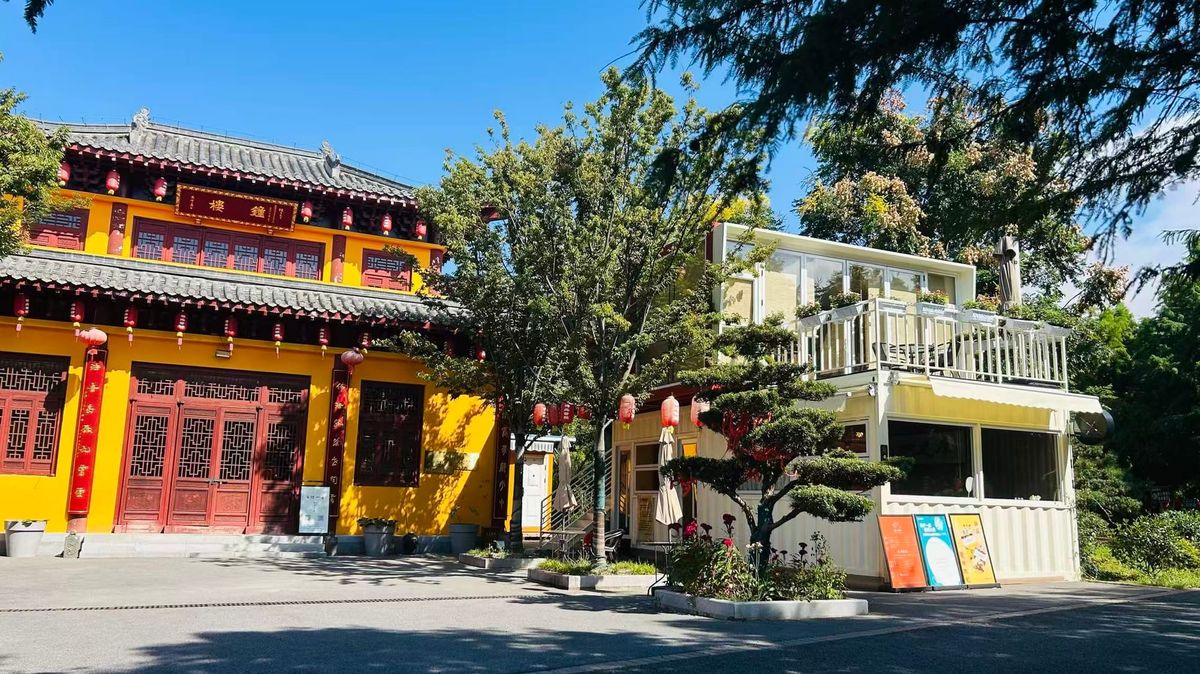 Letter 11: 书的初稿终于完成了！