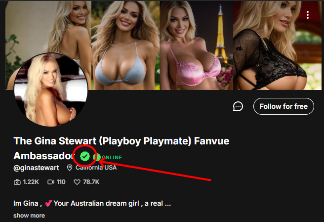 fanvue ambassador profile