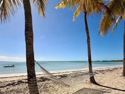 Island Life