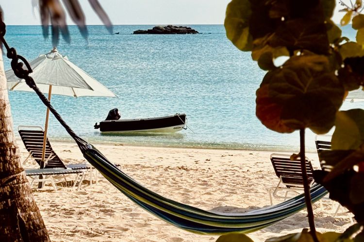 Honor Bars & Downwind Sailing