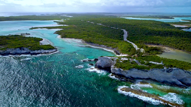 Touristy “Tings”