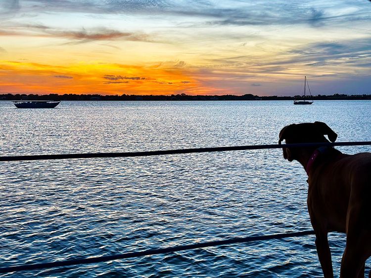 Our Cruising Adventures