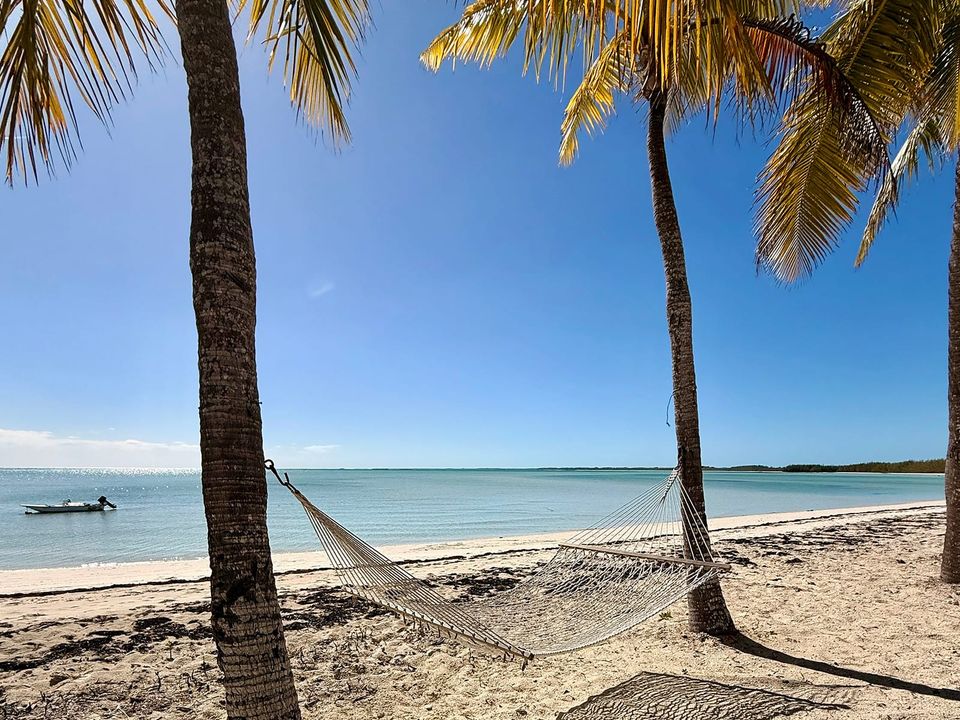 House Hunting: Island Style