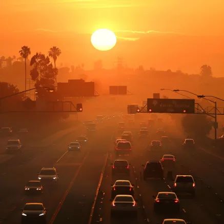 Whirlwind News Wednesday