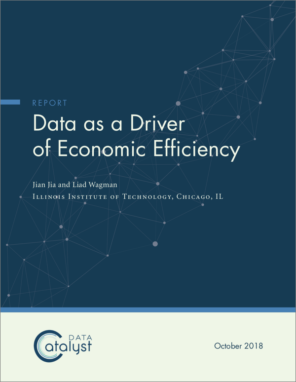 Data as a Driver of Economic Efficiency