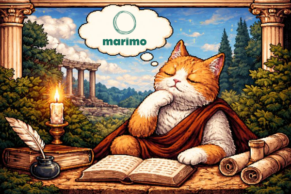 More Thoughts on Marimo...