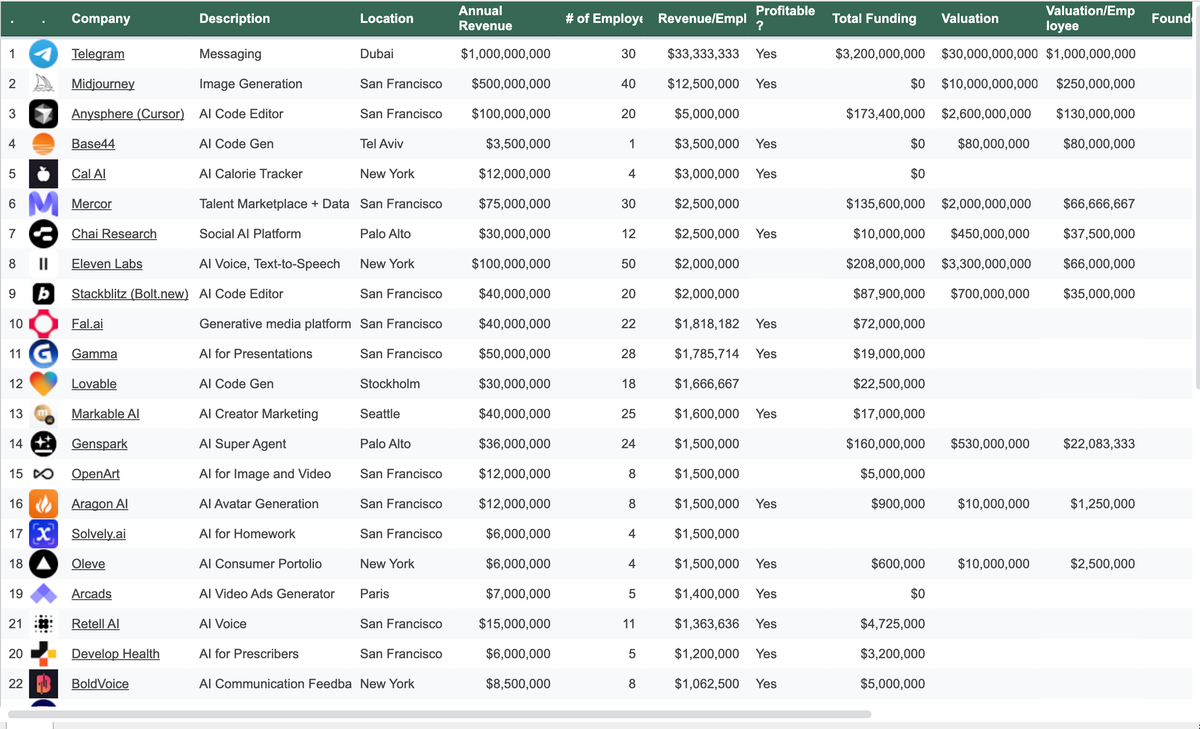 What are Lean AI Native Companies? (Not built by AI)