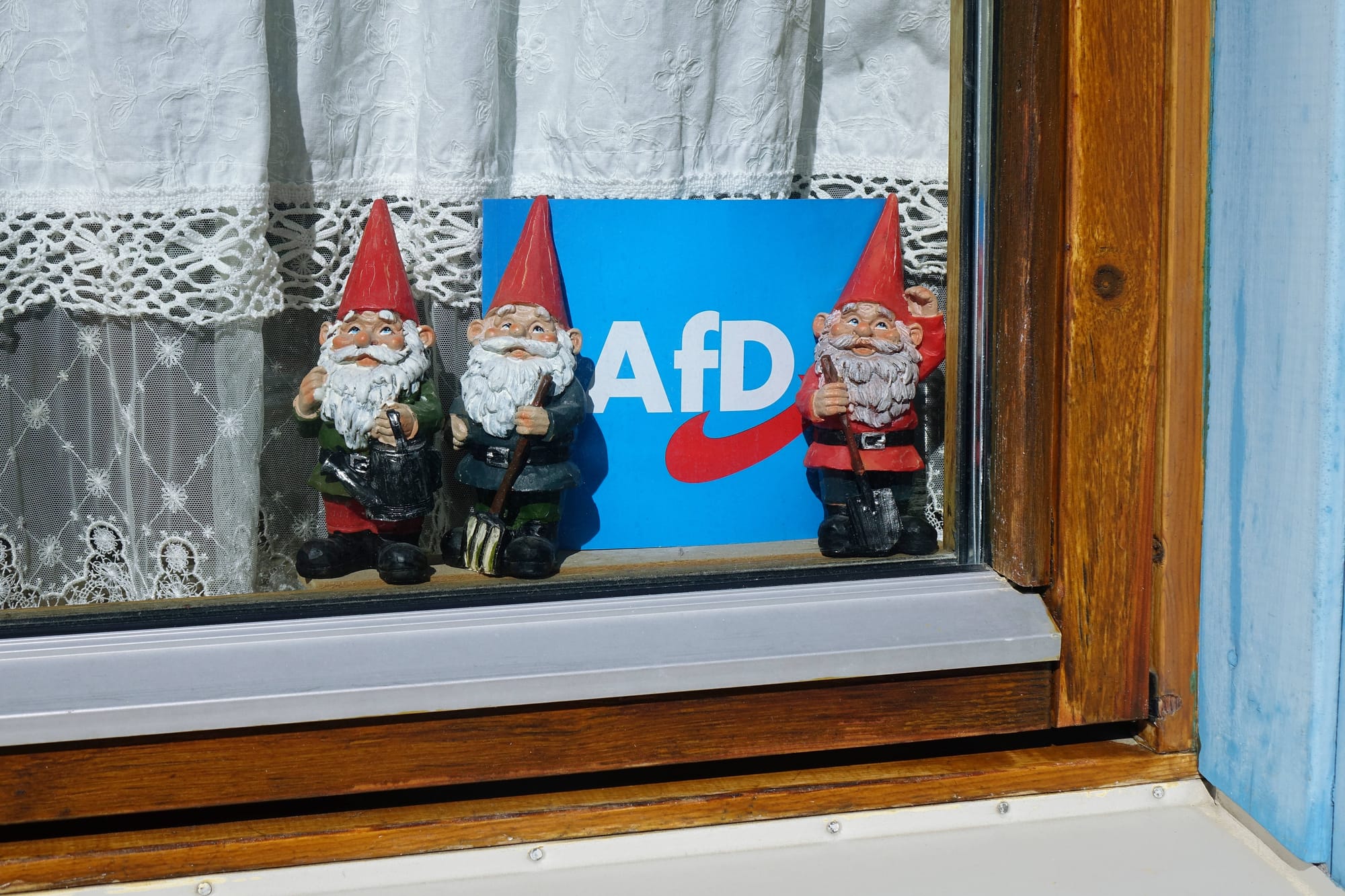 Artikelbild