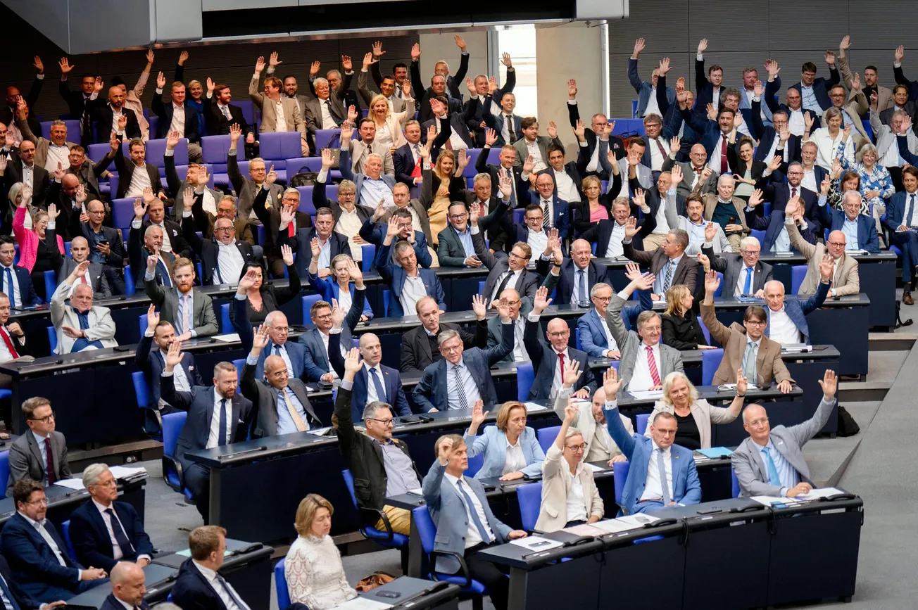 Studie: Die vier wichtigsten Erkenntnisse über den AfD-Wahlerfolg
