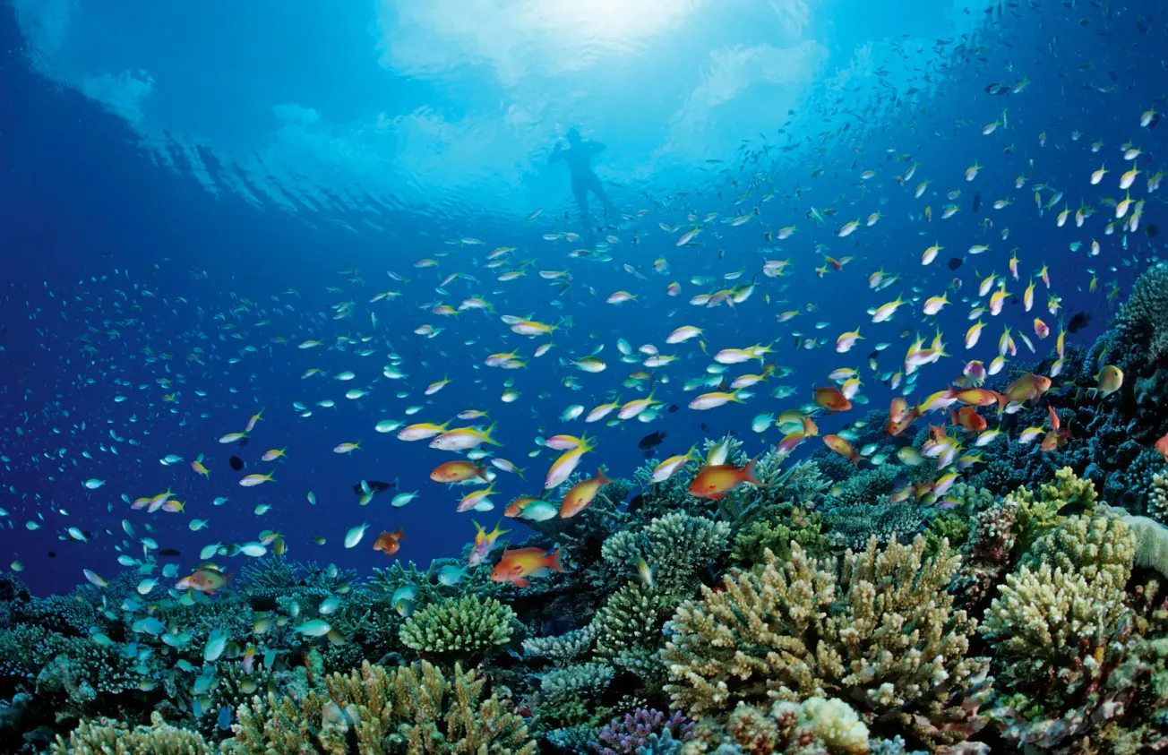 Malediven: Das versinkende Paradies