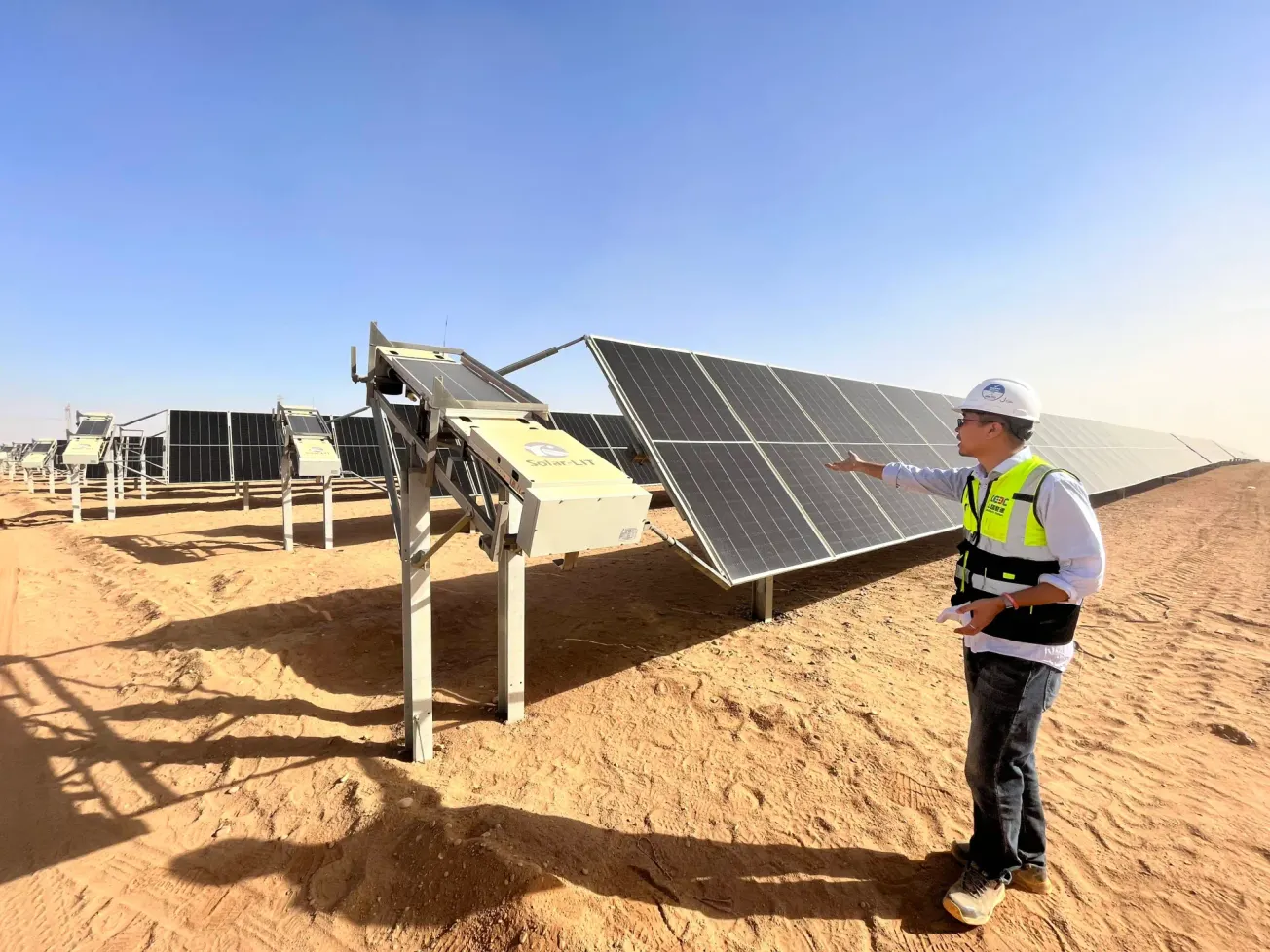 Gewinnorientierung bei ausländischen Direktinvestitionen ist gefährlich