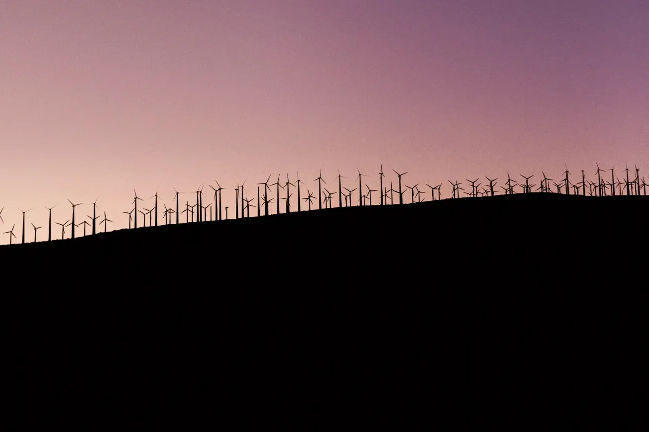 Klimaneutralität als Wachstumsmotor