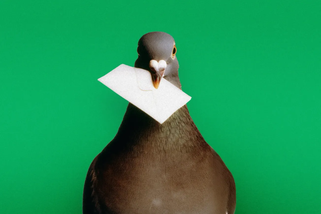 Es gibt sie, die guten Nachrichten…