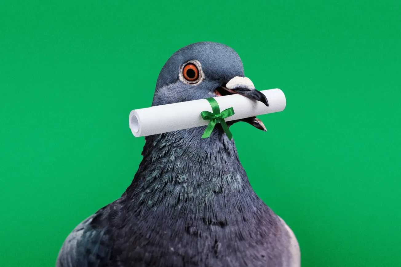 Es gibt sie, die guten Nachrichten…