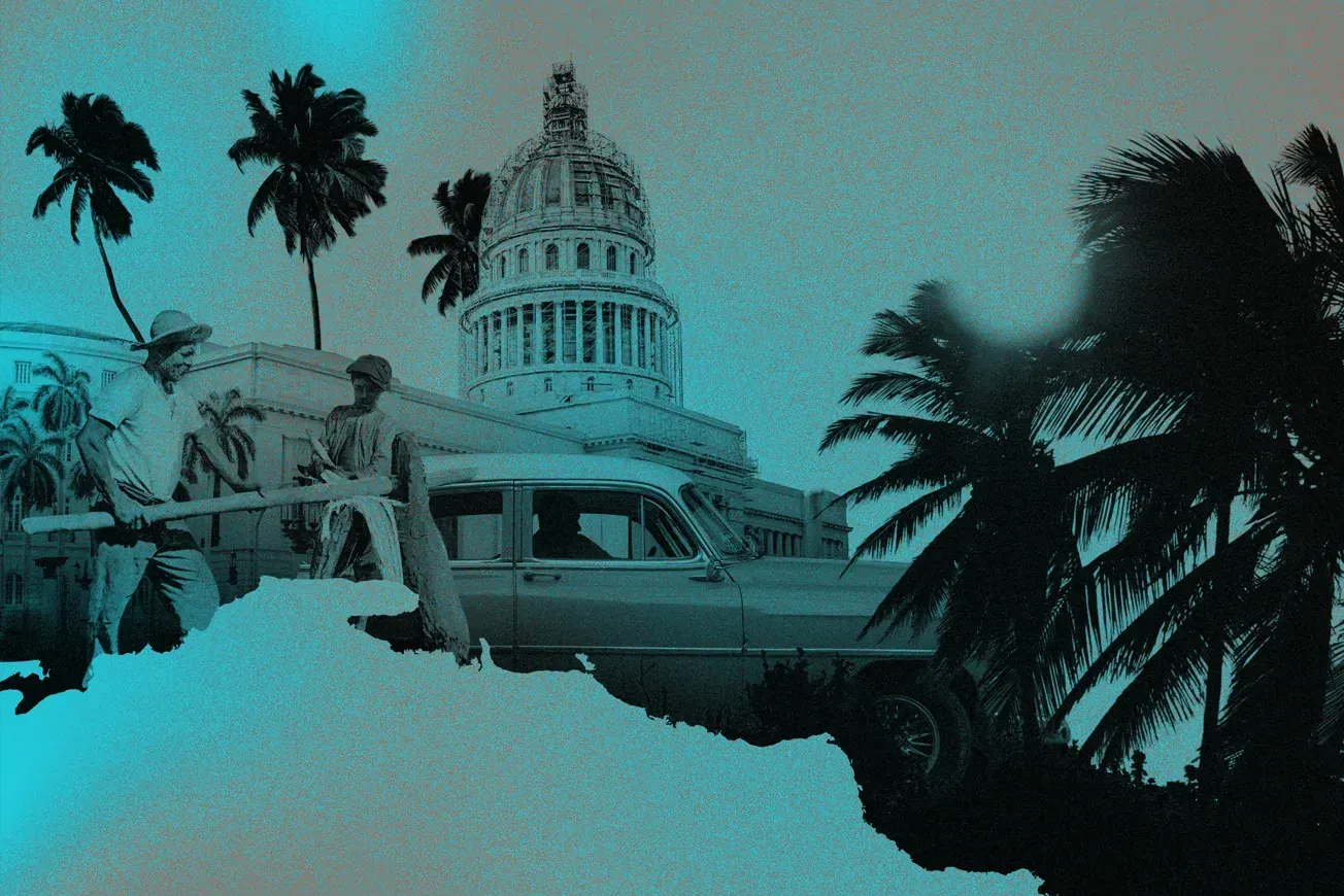 Collage: Surplus