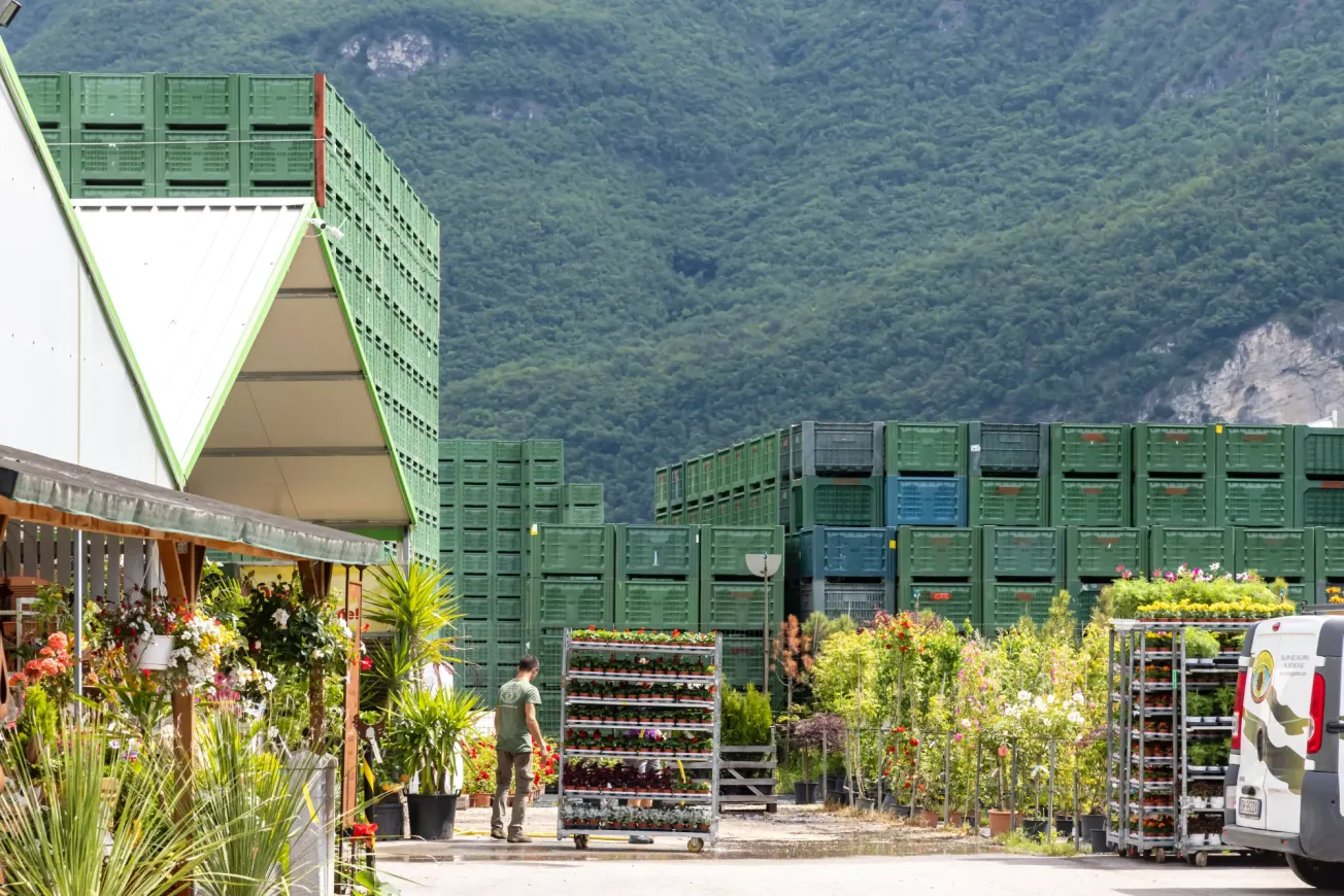 Obstgenossenschaft Grufrut in Südtriol. Gestaplete Kisten und Pflanzen, Berg im Hintergrund. (Symbolbild). Credit: IMAGO/Arnulf Hettrich