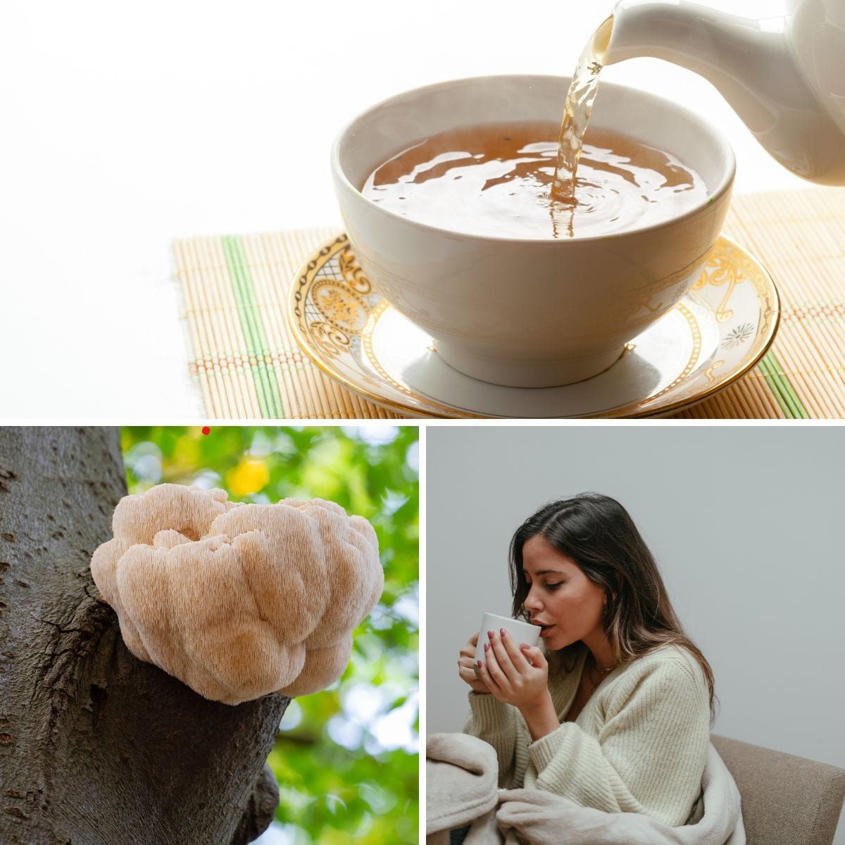 what are the side effects of lion's mane tea