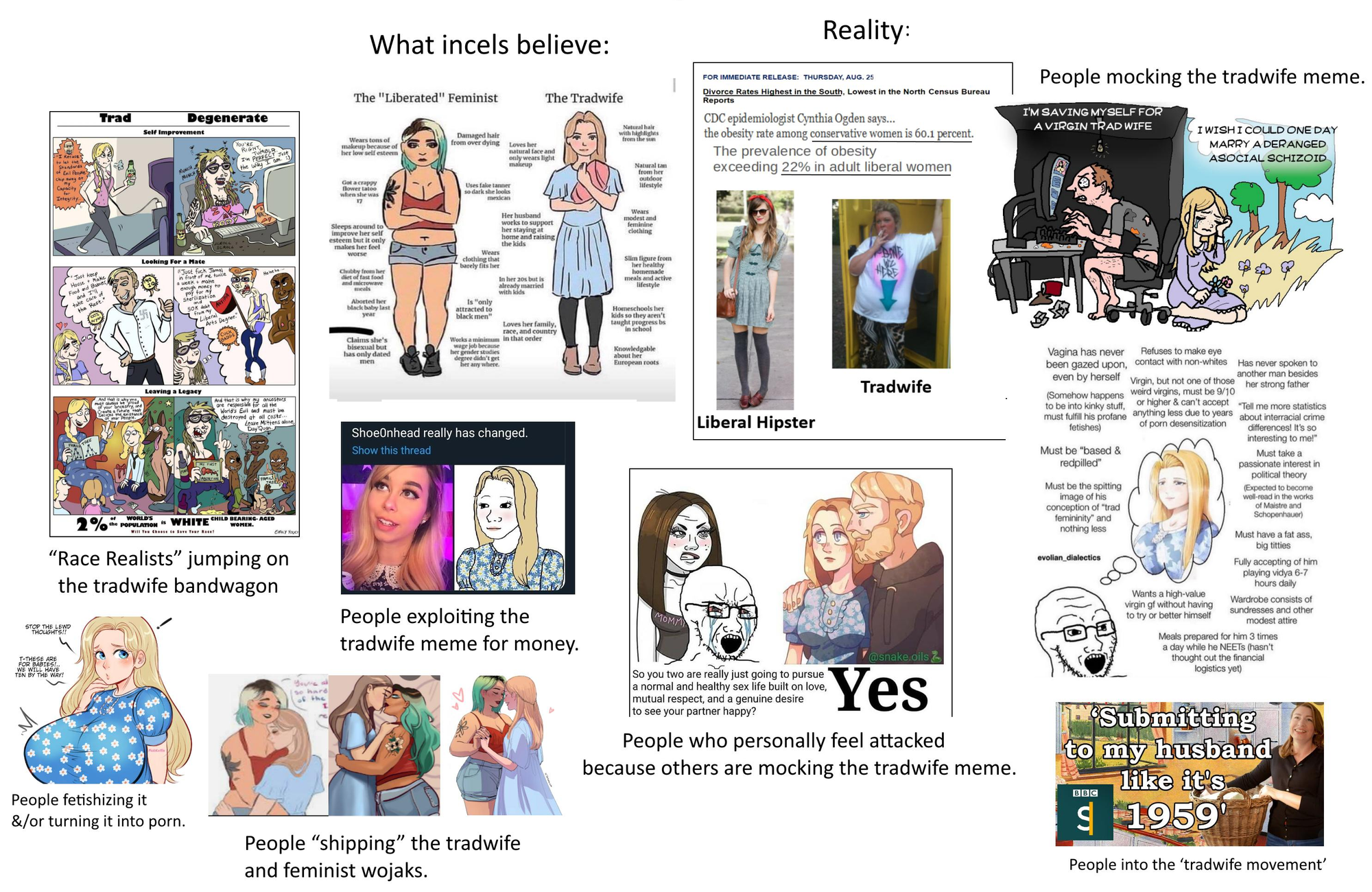 Memebild: trad wife starter pack som illustrerar estetiken av mjukhet, underkastelse och 1950-talsnostalgi, samt hur det krockar med verkligheten..