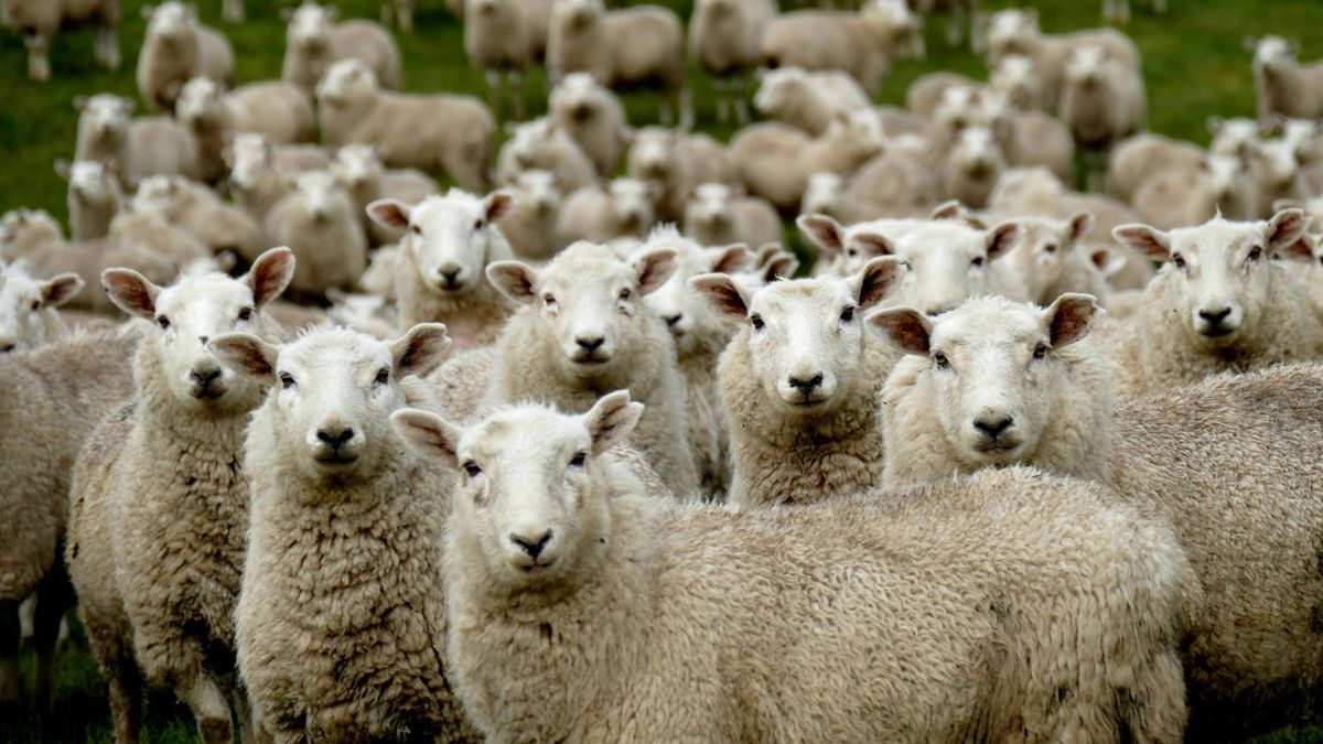 You All Look The Same