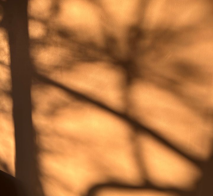 Why Cool White Light Bulbs Ruin Retail and Hospitality