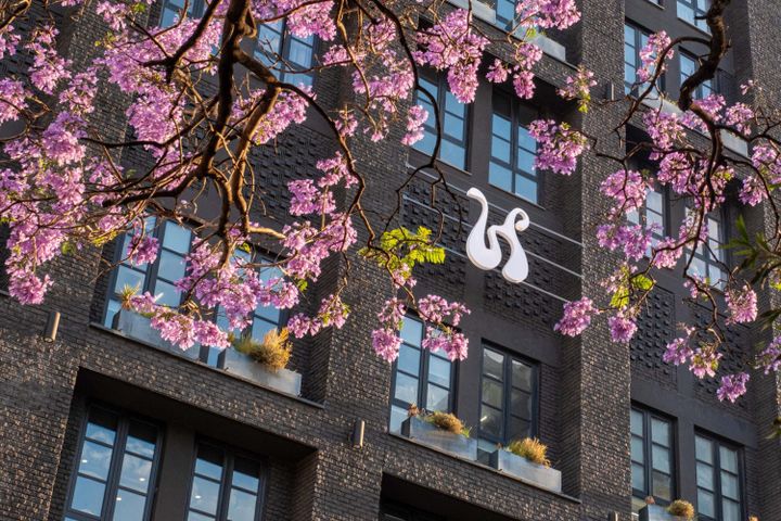 A Couple of Days in Joburg: Rosebank