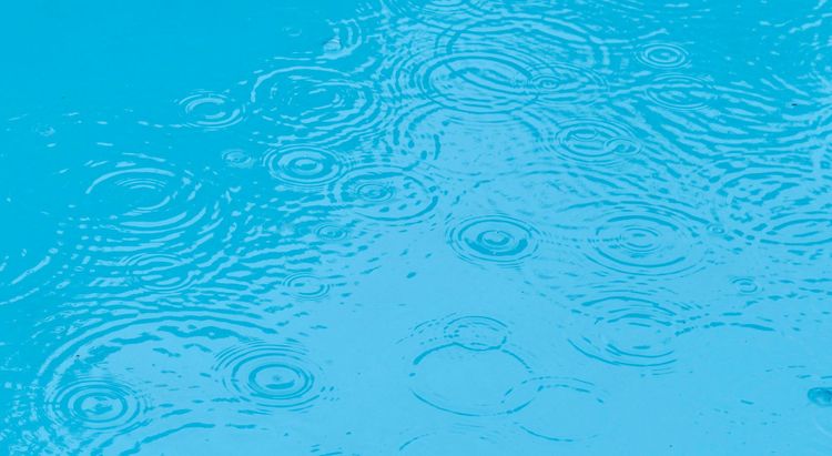 My Queer House in the Rain