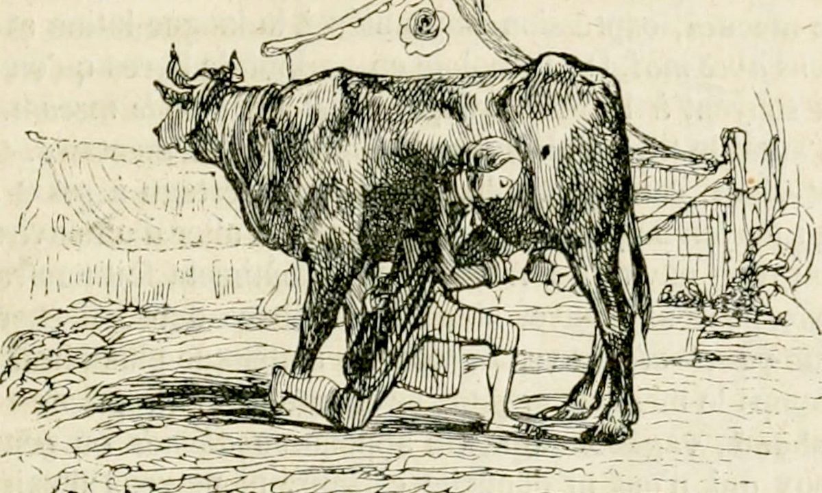 Dans cette chronique antivirus, on vous présente les meilleurs remèdes pour les petites bestioles qui s'installent dans vos a