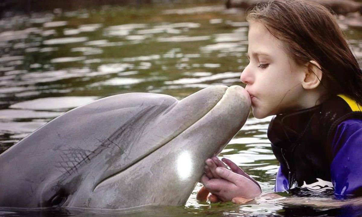 Atteinte d'une maladie grave et mortelle, Maéva Nantel, 6 ans de Saint-Jérôme, a réalisé son rêve de nager avec des dauphins,