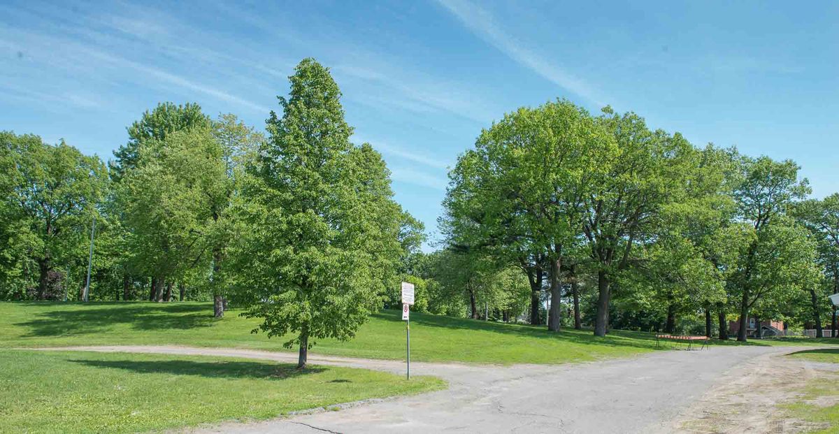 Aucun arbre ne sera coupé pour le stationnement Melançon