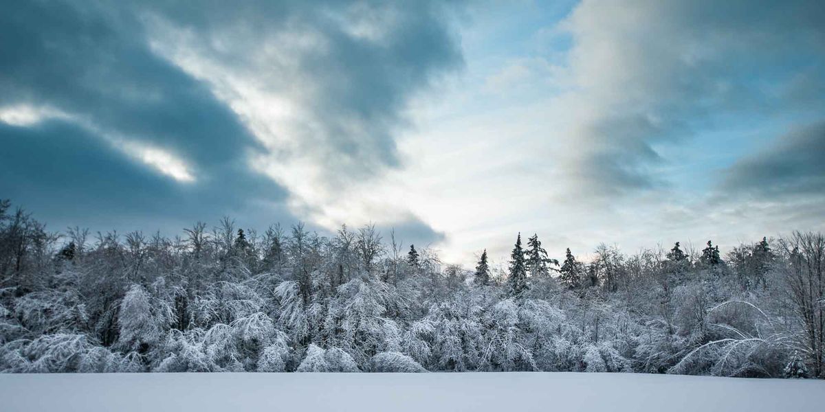 Splendeur verglacée