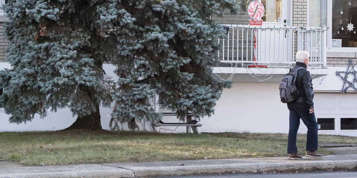 La pelouse reverdit sous le sapin, sur la rue Castonguay, le 24 décembre 2015 à Saint-Jérôme.