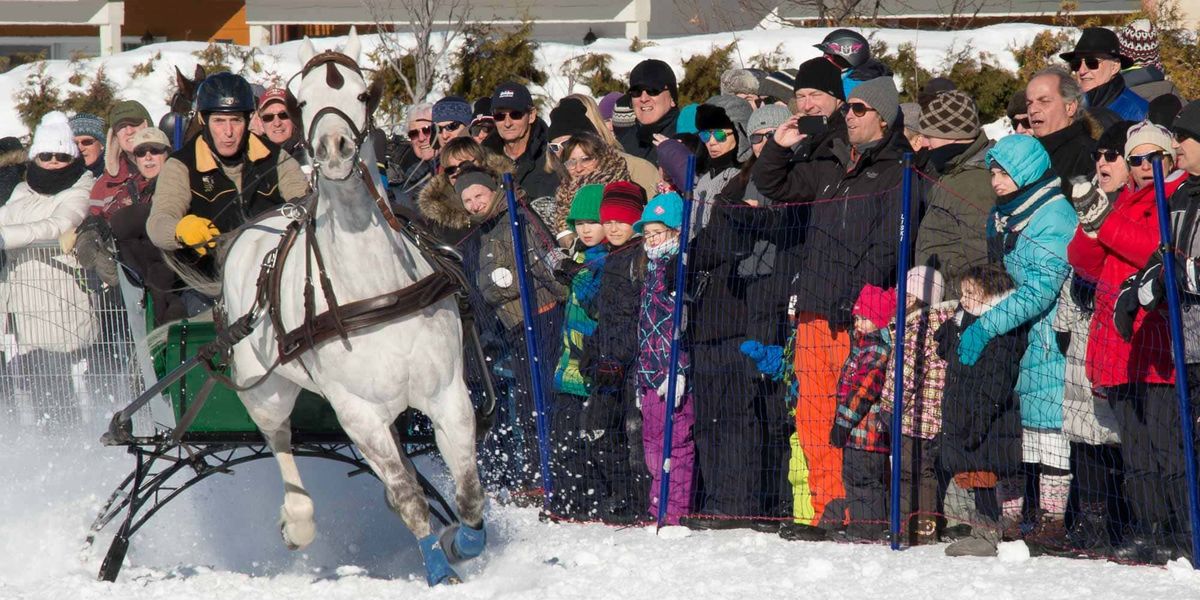 La belle température aidant, une foule record a apprécié les courses de chevaux de la fin de semaine.