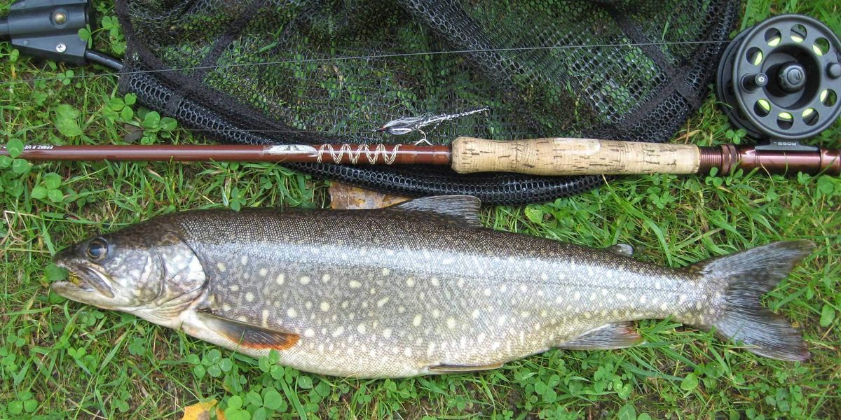 Ce qu'il faut retenir du touladi