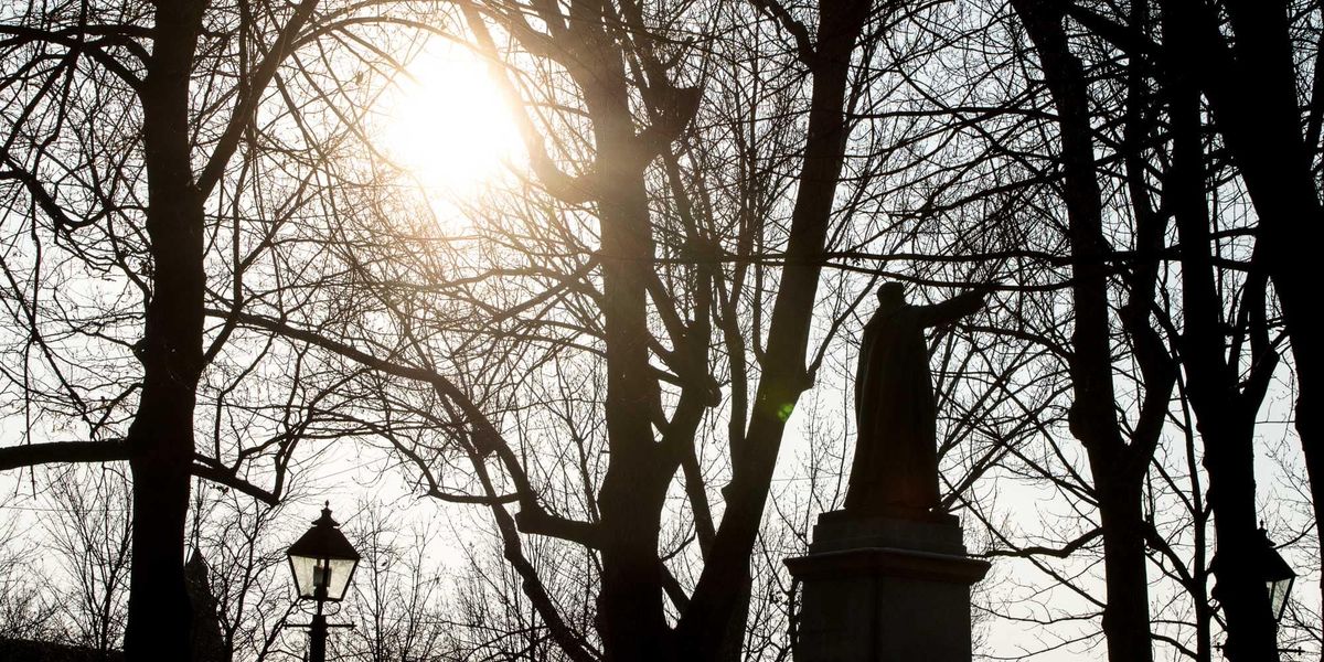 Le soleil se couche sur le parc Labelle, le 25 novembre 2015.