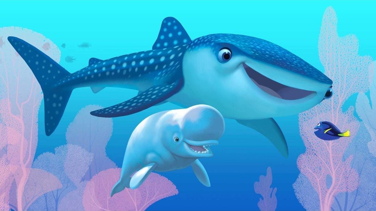 Le film de Disney Trouver Doris est en salles au Québec depuis le 17 juin 2016.