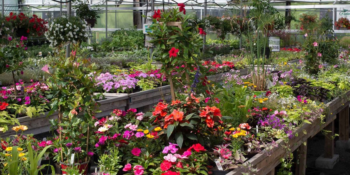 Les citoyens de Sainte-Marguerite et Estérel auront la possibilité de récupérer