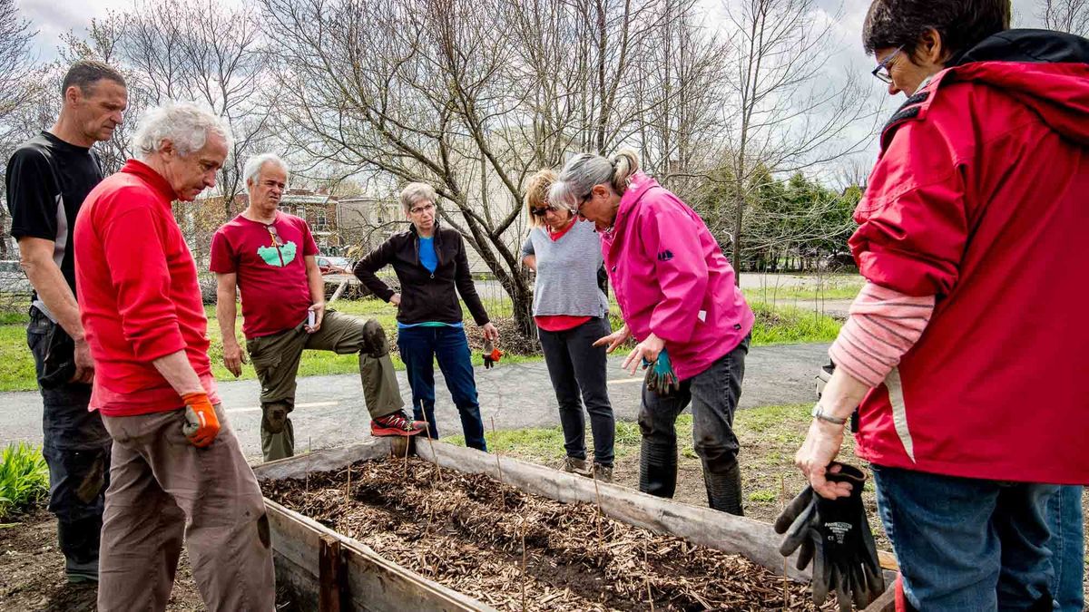 C'est déjà le printemps pour les Incroyables comestibles