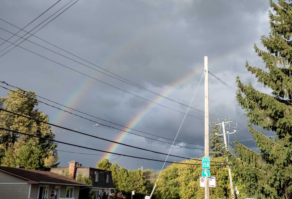 Arcs-en-ciel électoraux?