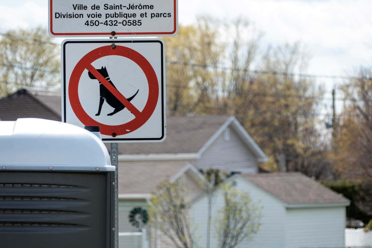 Enfant mordu par un chien à Saint-Jérôme: Quelles sont les règles?