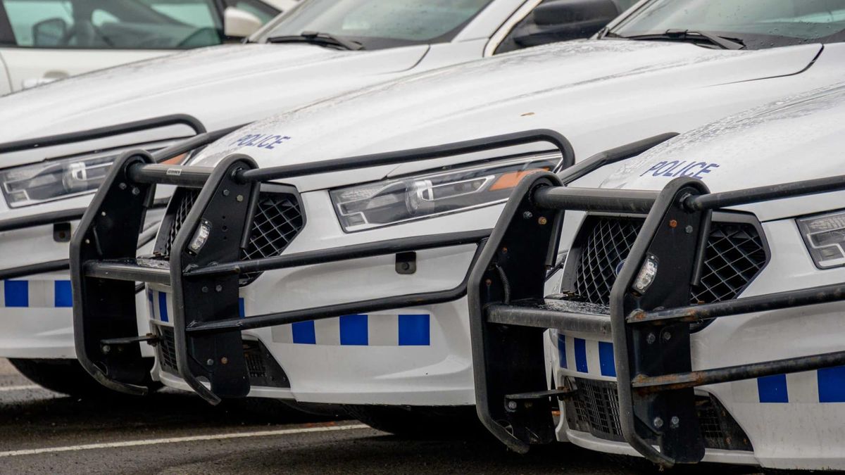 Un adulte et trois mineurs arrêtés à la suite d'une agression près de l'école La Source