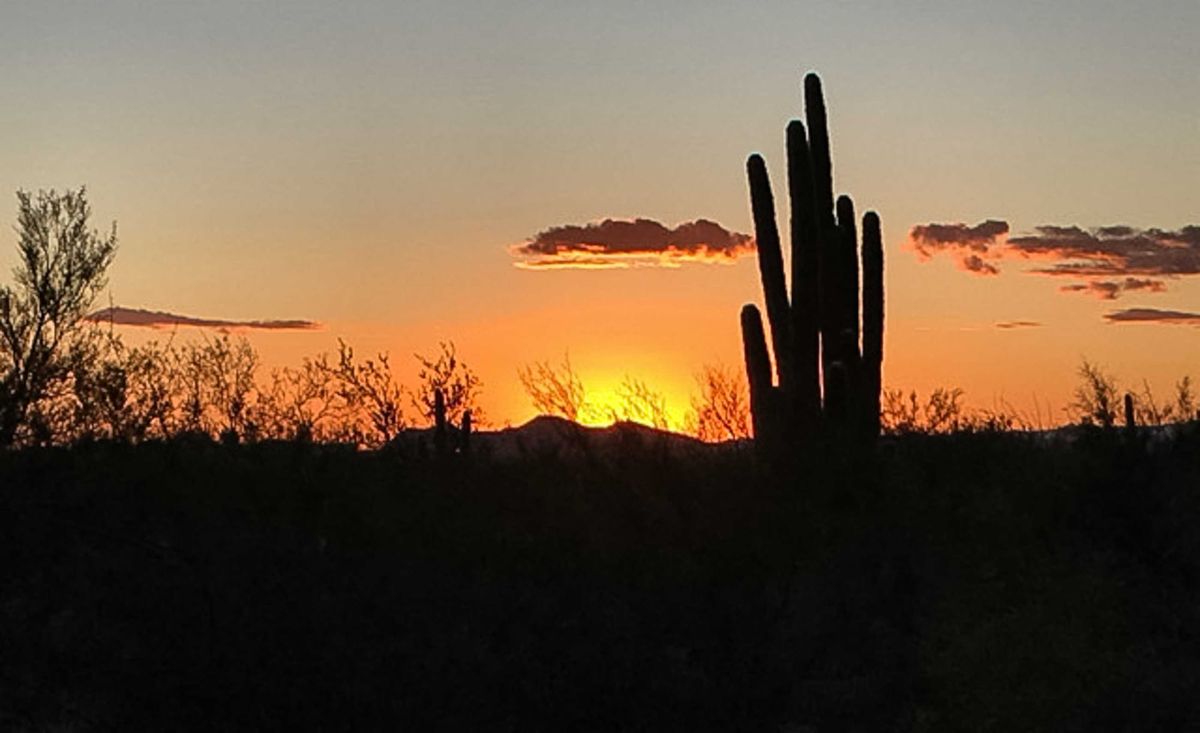 Un snowbird raconte ses 5000 km de route en pandémie - souper confiné - jour 29, le 24 avril 2020