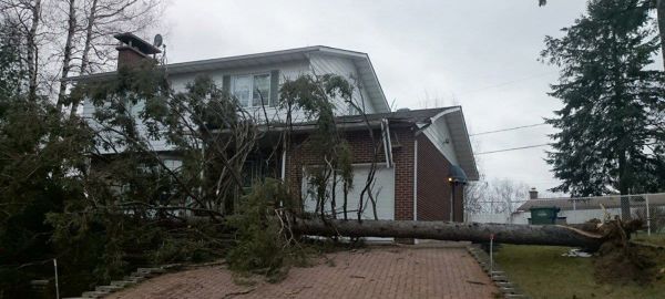 Tournoi de golf de la Chambre de Commerce de Sainte-Agathe.